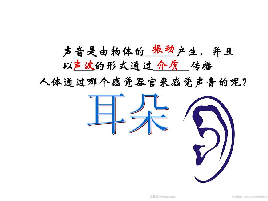 浙教版七年級(jí)下冊(cè)科學(xué) 2.3耳和聽覺 課件第2頁