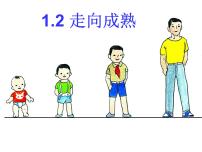 初中科学浙教版七年级下册第1章 代代相传的生命第2节 走向成熟评课ppt课件