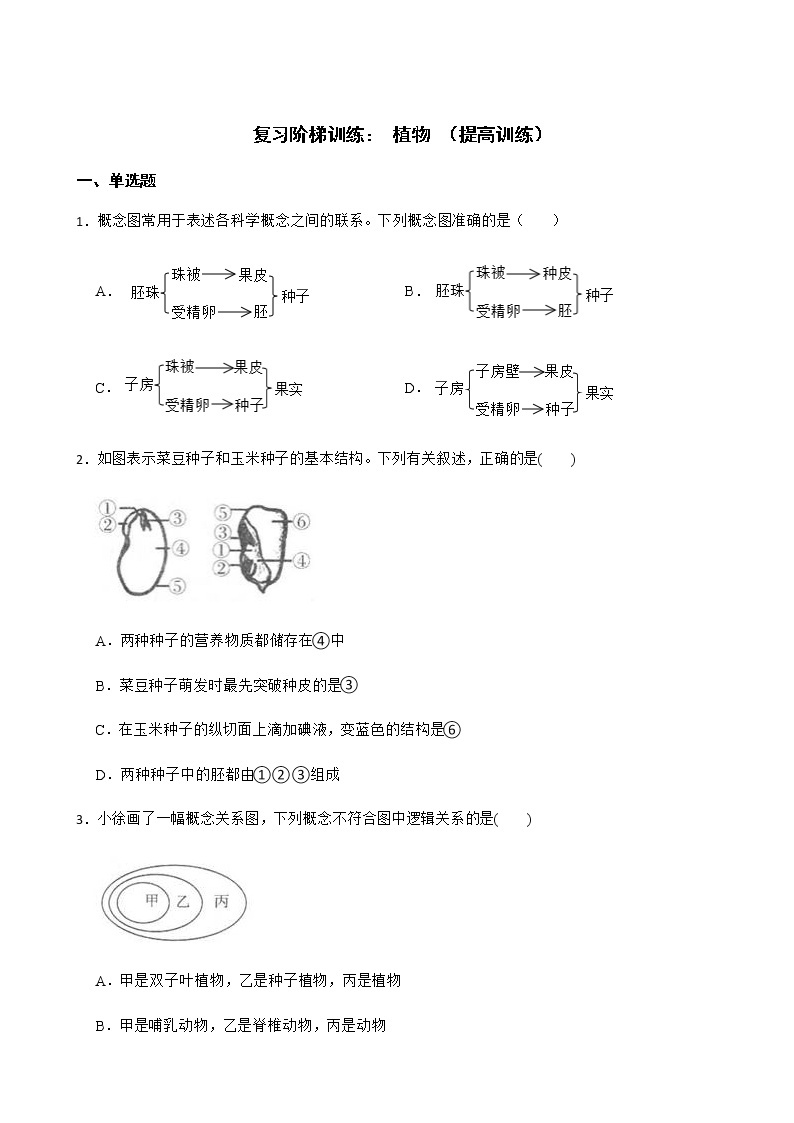 浙教版科学七下期末复习阶梯训练：植物（提高训练）及答案01