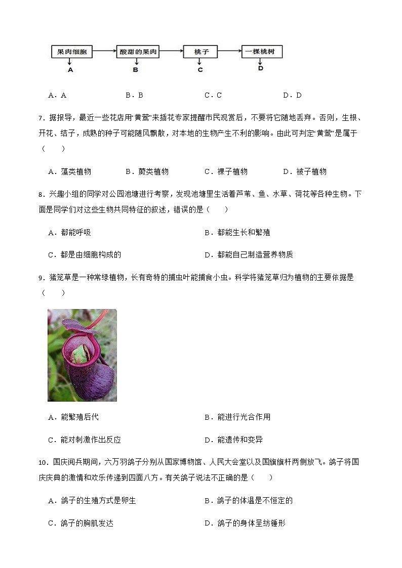 浙江省温州市七年级上学期科学学生学业水平期中试卷及答案02