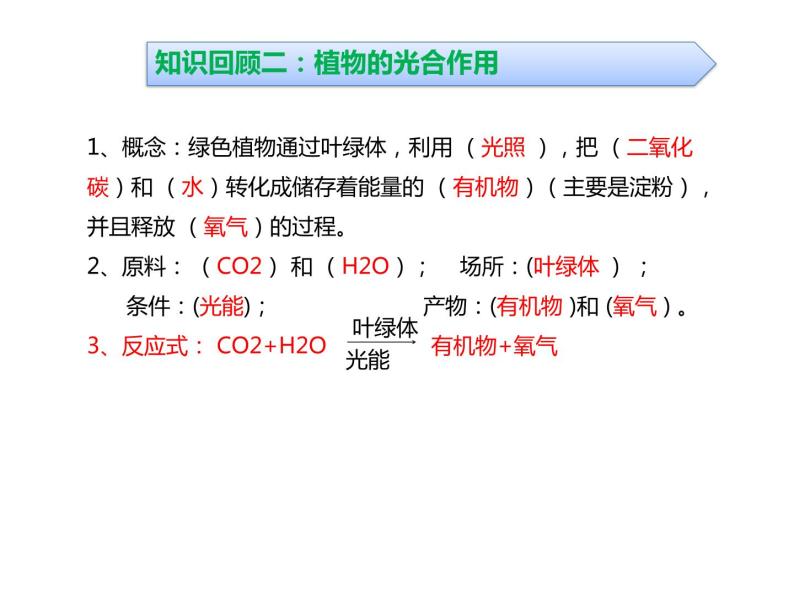 浙教版初中科学 《生物的新陈代谢》中考冲刺二轮复习课件07