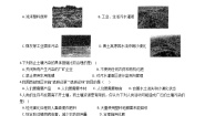 初中科学华师大版七年级下册第4章 土壤3 人类活动与土壤达标测试