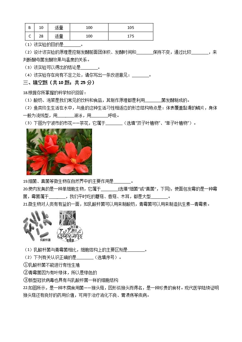 2021-2022学年华东师大版科学七年级下册 第7章 7.4细菌和真菌的繁殖 课时练习(含答案解析)03