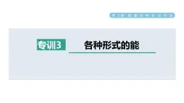 浙教版九年级科学上册第3章能量的转化与守恒专项训练三：各种形式的能习题课件