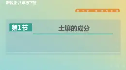 浙教版八年级科学下册第4章植物与土壤第1节土壤的成分习题课件