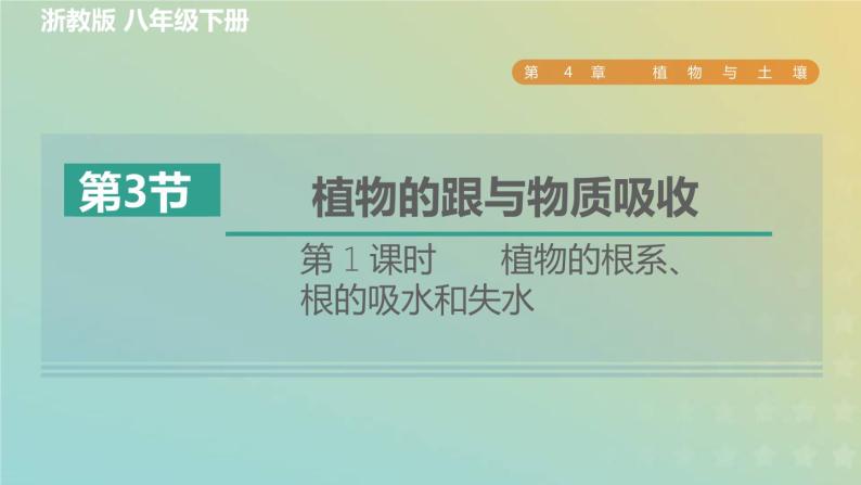 浙教版八年级科学下册第4章植物与土壤第3节植物的根与物质吸收第1课时植物的根系根的吸水和失水习题课件01