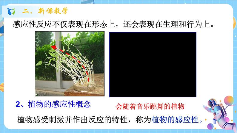浙教版科学 八年级上册 3.1 植物生命活动的调节(第1课时) 课件+教案+练习03