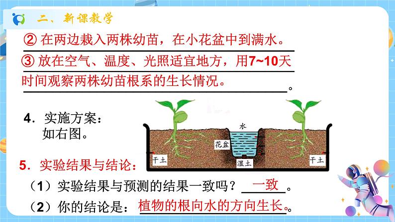 浙教版科学 八年级上册 3.1 植物生命活动的调节(第1课时) 课件+教案+练习08