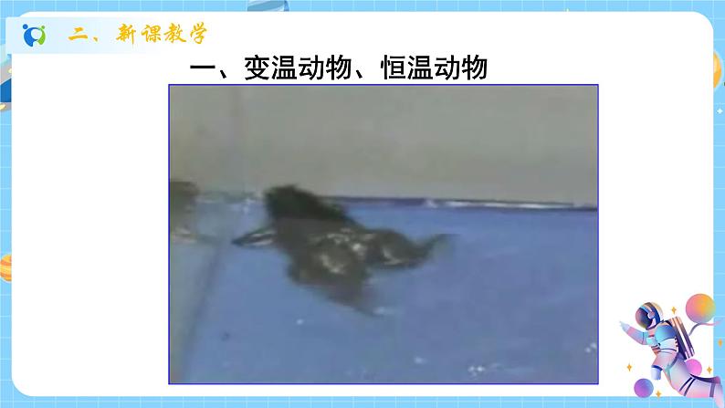 浙教版科学 八年级上册 3.5 体温的控制 课件+教案+练习03