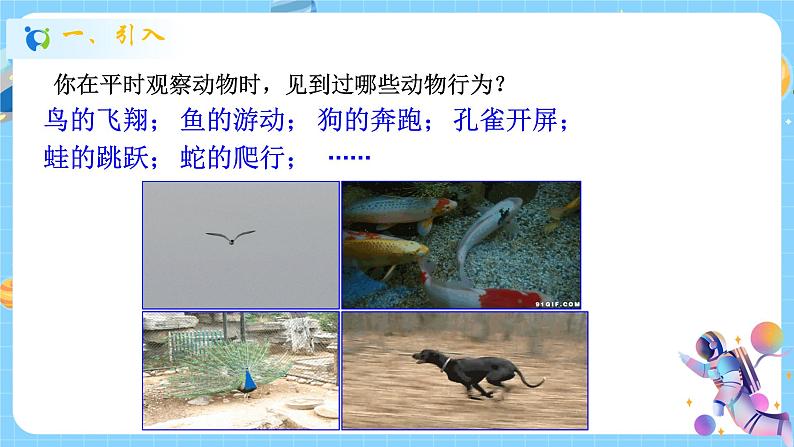 浙教版科学 八年级上册 3.4 动物的行为(第1课时) 课件+教案+练习02
