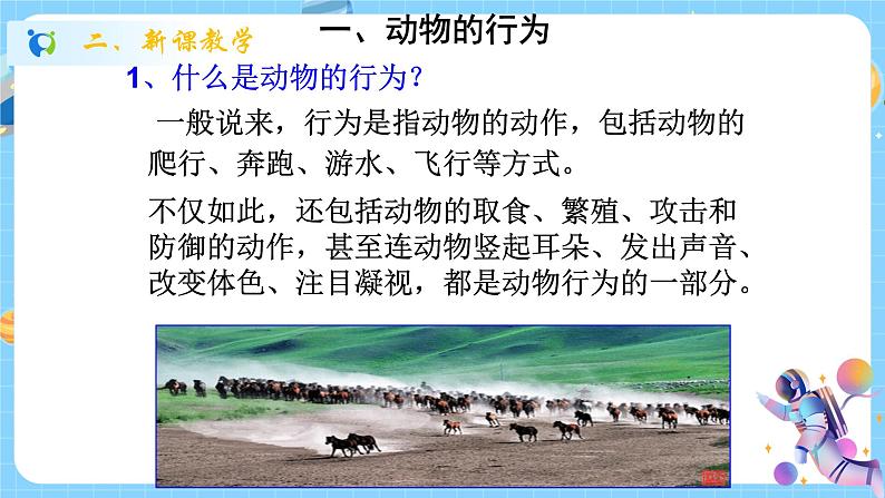 浙教版科学 八年级上册 3.4 动物的行为(第1课时) 课件+教案+练习03