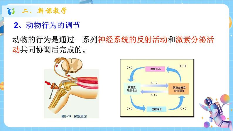 浙教版科学 八年级上册 3.4 动物的行为(第1课时) 课件+教案+练习04