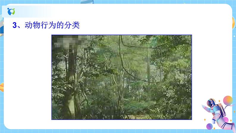 浙教版科学 八年级上册 3.4 动物的行为(第1课时) 课件+教案+练习06