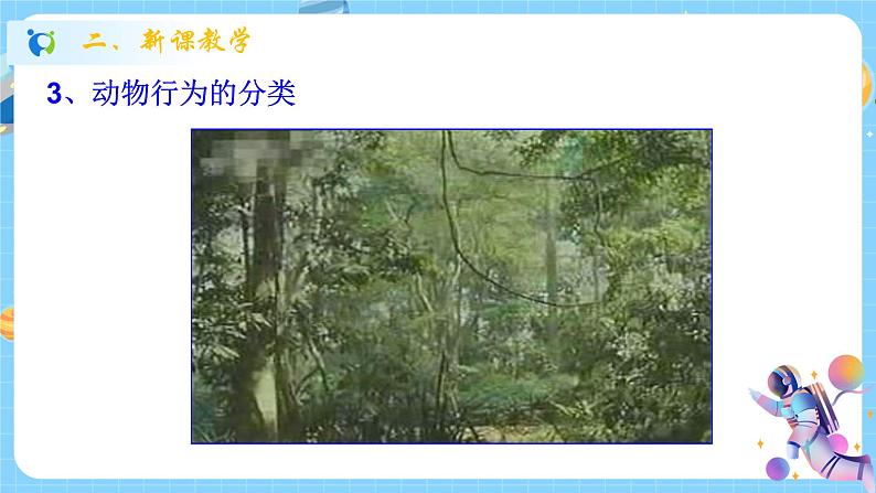 浙教版科学 八年级上册 3.4 动物的行为(第1课时) 课件+教案+练习07