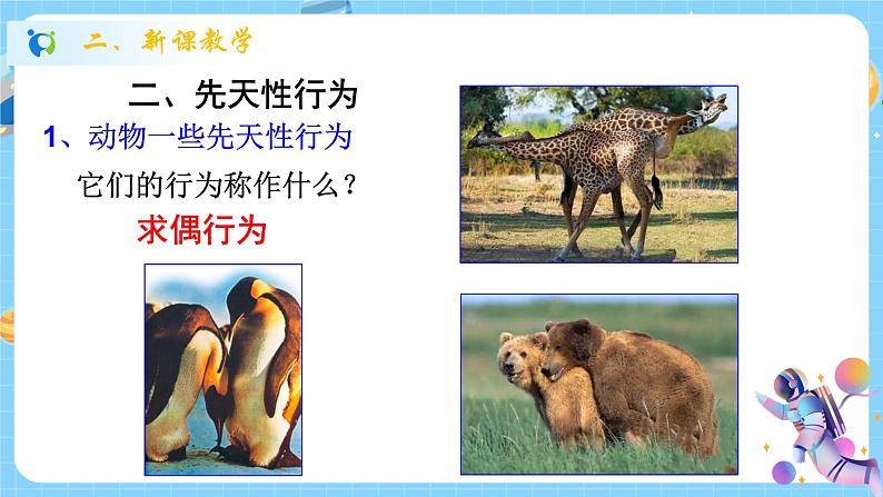 浙教版科学 八年级上册 3.4 动物的行为(第1课时) 课件+教案+练习08