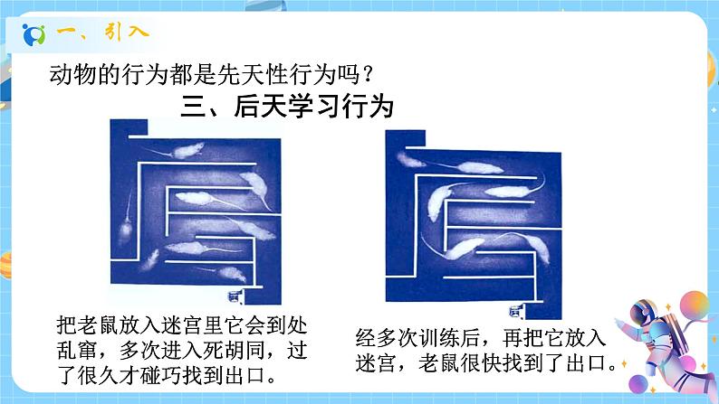 浙教版科学 八年级上册 3.4 动物的行为(第2课时) 课件+教案+练习02