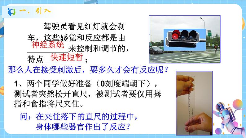 浙教版科学 八年级上册 3.3 神经调节(第1课时) 课件+教案+练习02