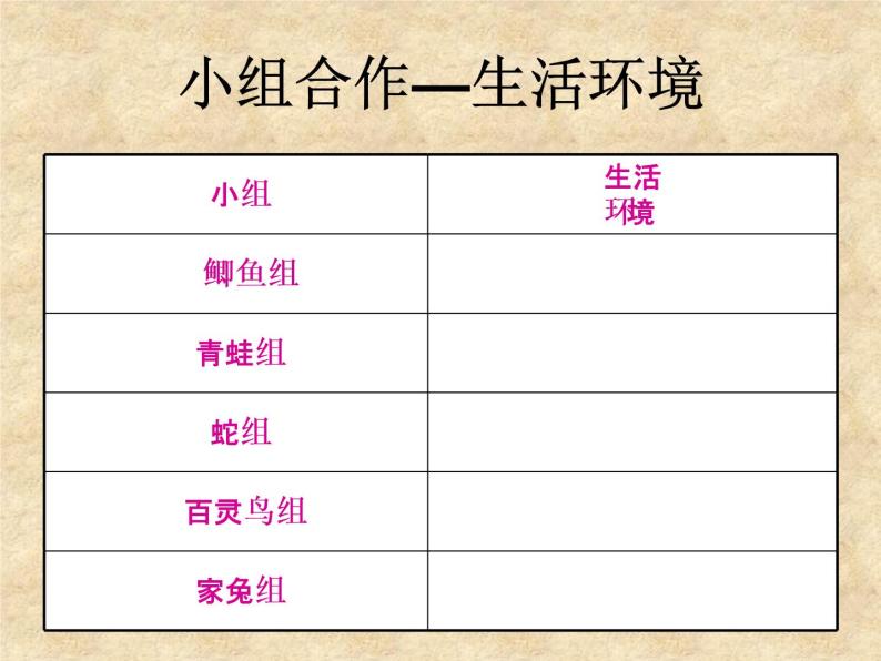 华师大版科学七年级上册 2.1动物的主要类群 课件04