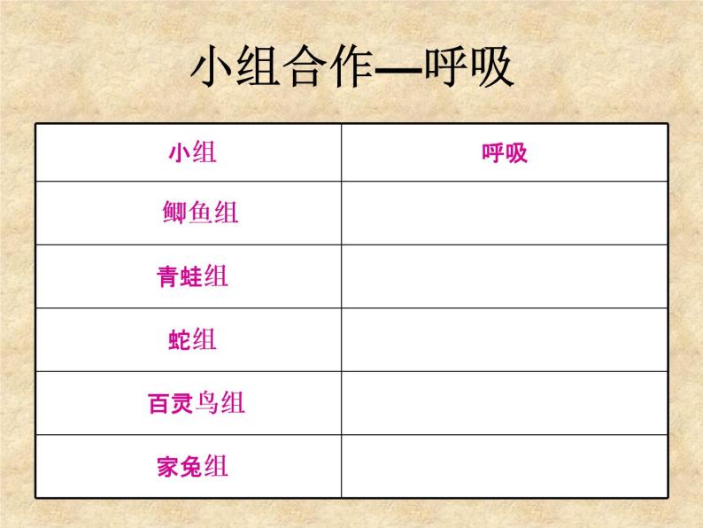 华师大版科学七年级上册 2.1动物的主要类群 课件08