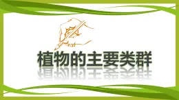 华师大版科学七年级上册 2.2植物的主要类群 课件