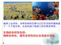 华师大版科学七年级上册 3.1生物物种的多样性 课件