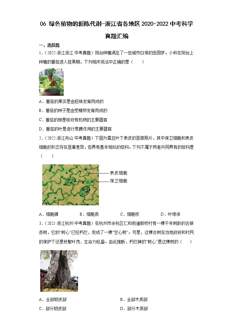 06绿色植物的新陈代谢-浙江省各地区2020-2022中考科学真题汇编01