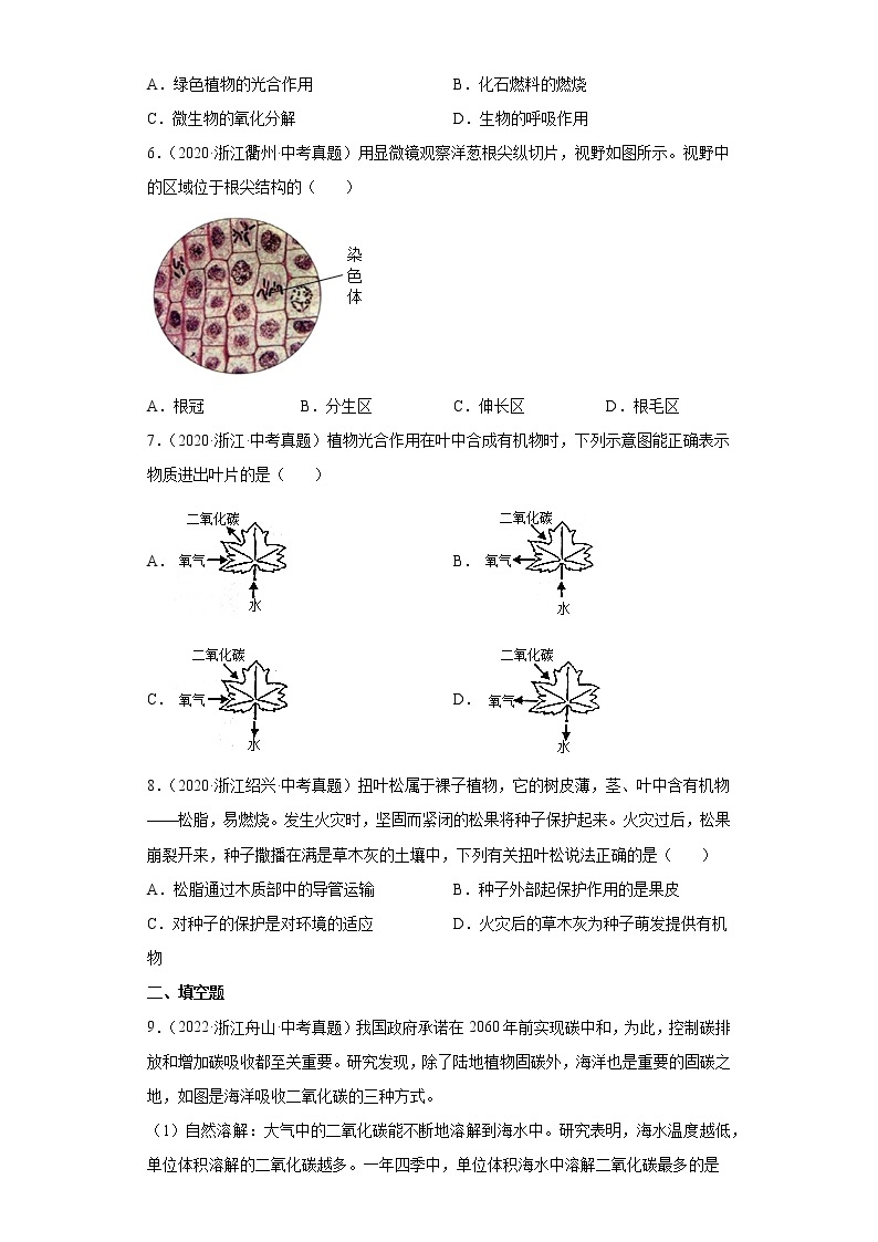 06绿色植物的新陈代谢-浙江省各地区2020-2022中考科学真题汇编03