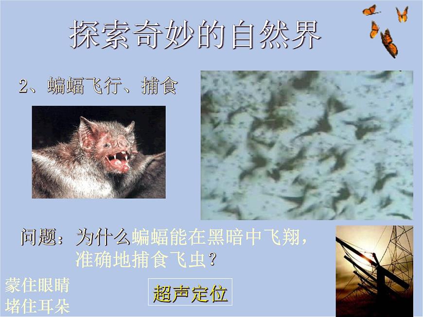 華師大7上個(gè)科學(xué)0.1 探索奇妙的自然界 課件第3頁