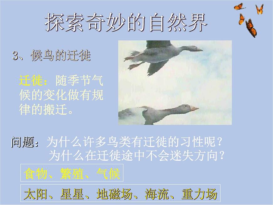 華師大7上個(gè)科學(xué)0.1 探索奇妙的自然界 課件第4頁