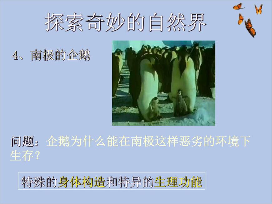 華師大7上個(gè)科學(xué)0.1 探索奇妙的自然界 課件第5頁