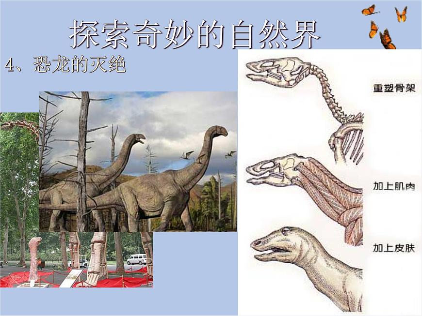 華師大7上個(gè)科學(xué)0.1 探索奇妙的自然界 課件第7頁