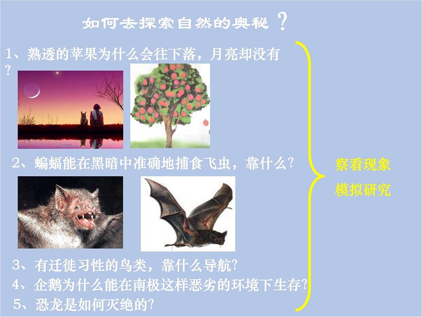 華師大7上個(gè)科學(xué)0.1 探索奇妙的自然界 課件第8頁