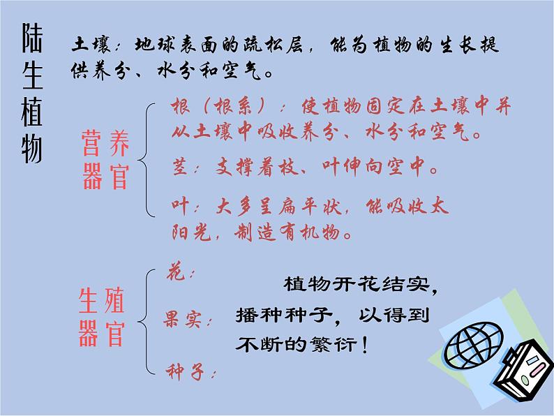 华师大7上个科学第1章 地球上的生物 复习课件06