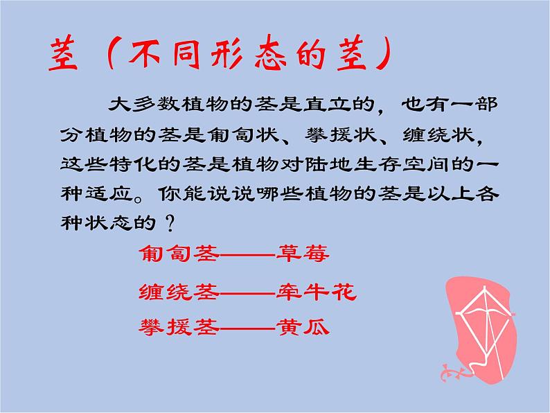 华师大7上个科学第1章 地球上的生物 复习课件07