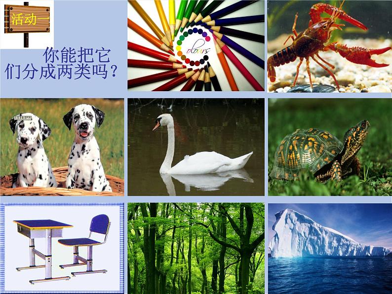 华师大7上个科学2.1 动物的主要类群 课件02