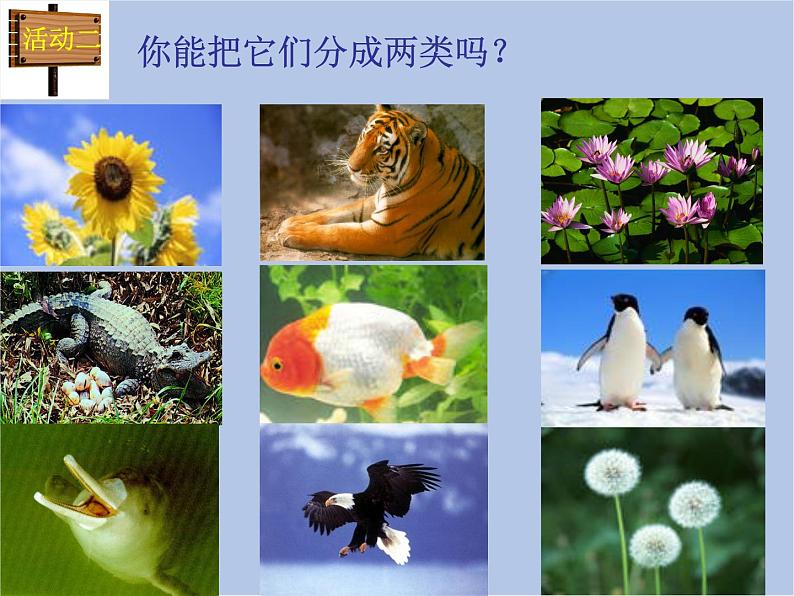 华师大7上个科学2.1 动物的主要类群 课件03