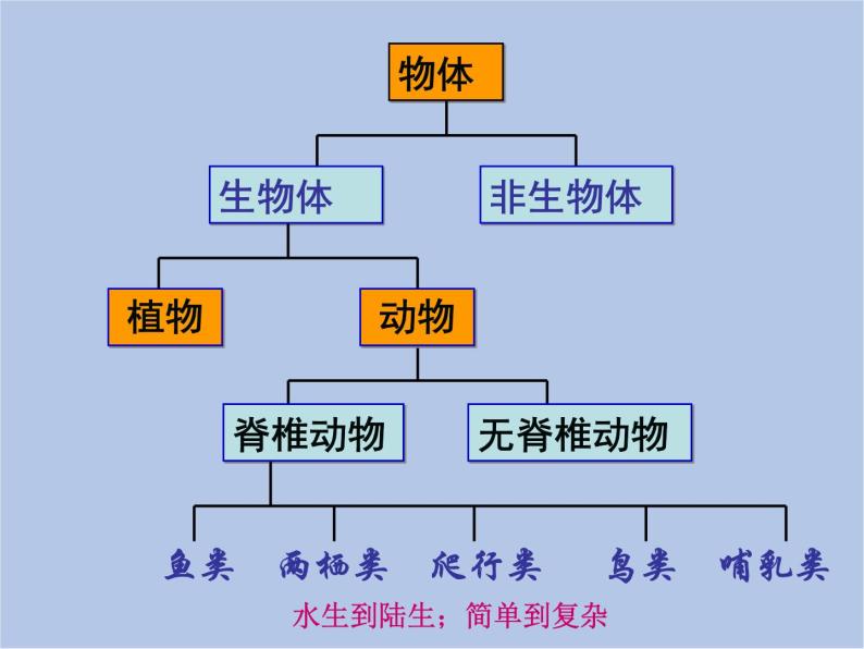 华师大7上个科学2.1 动物的主要类群 课件07