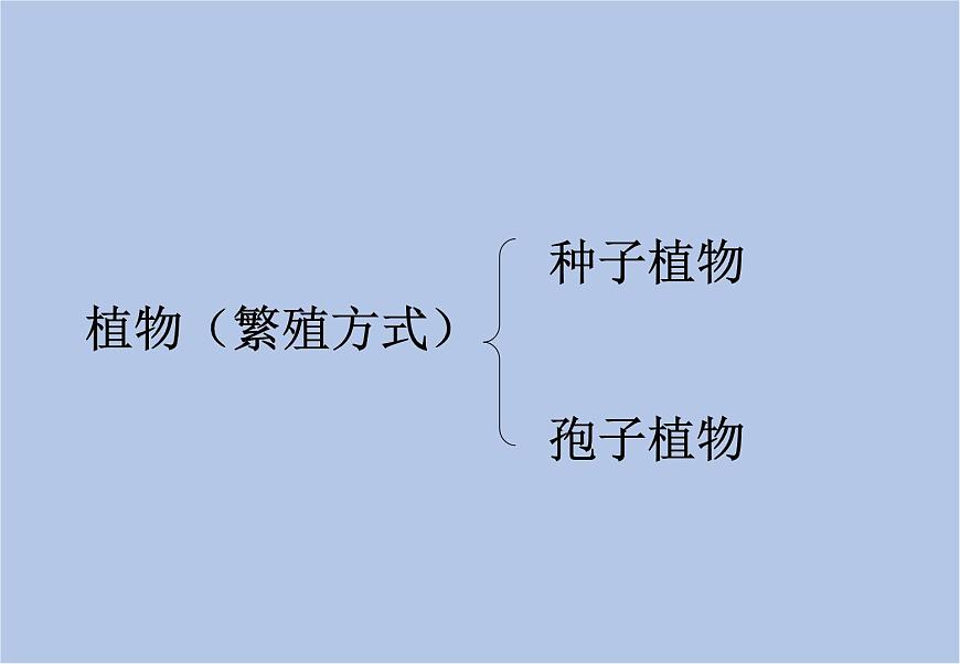華師大7上個(gè)科學(xué)2.2 植物的主要類群 課件第4頁