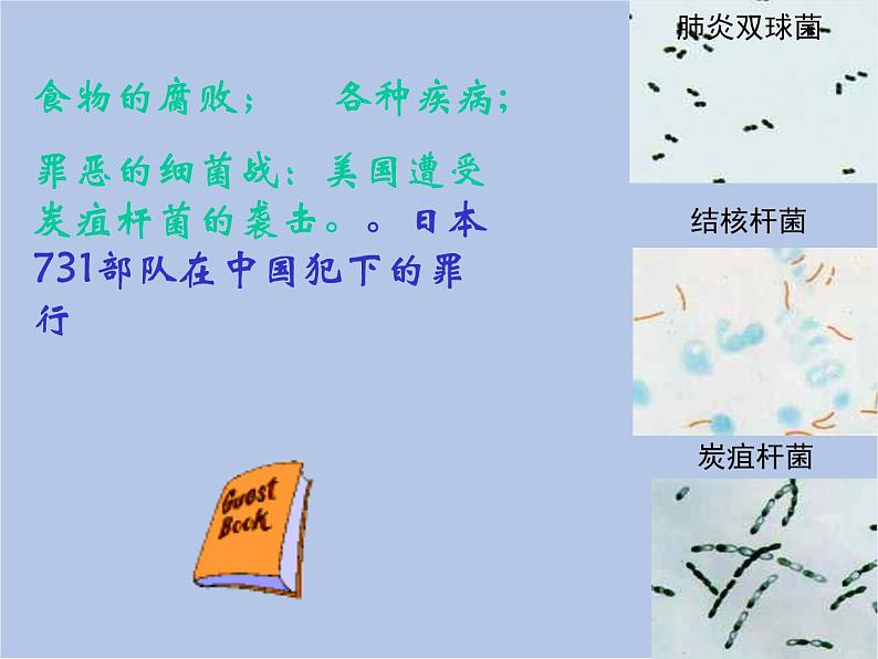 华师大7上个科学2.3 细菌和真菌 课件第5页