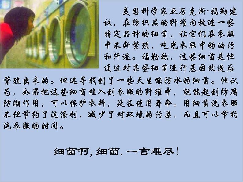 华师大7上个科学2.3 细菌和真菌 课件第8页