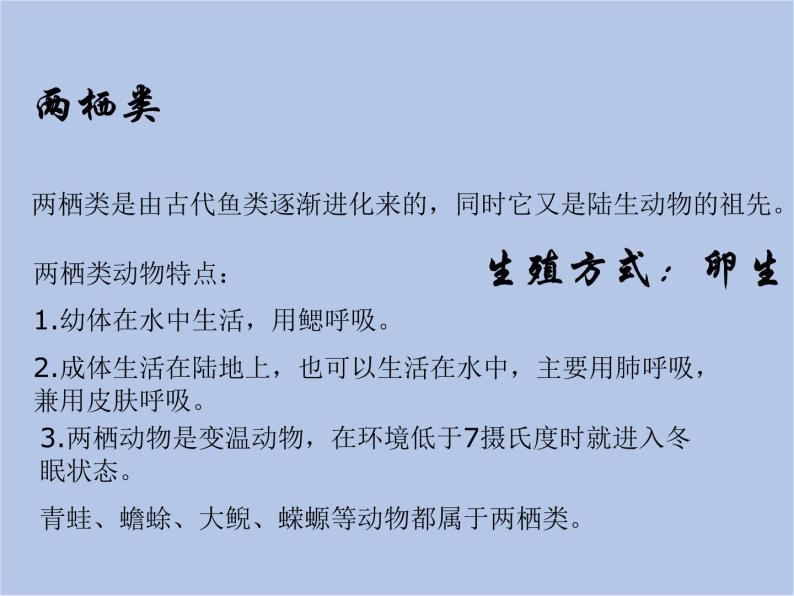 华师大7上个科学第2章 生物的主要类群 复习课件05