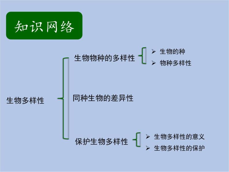 华师大7上个科学第3章 生物多样性 复习课件02