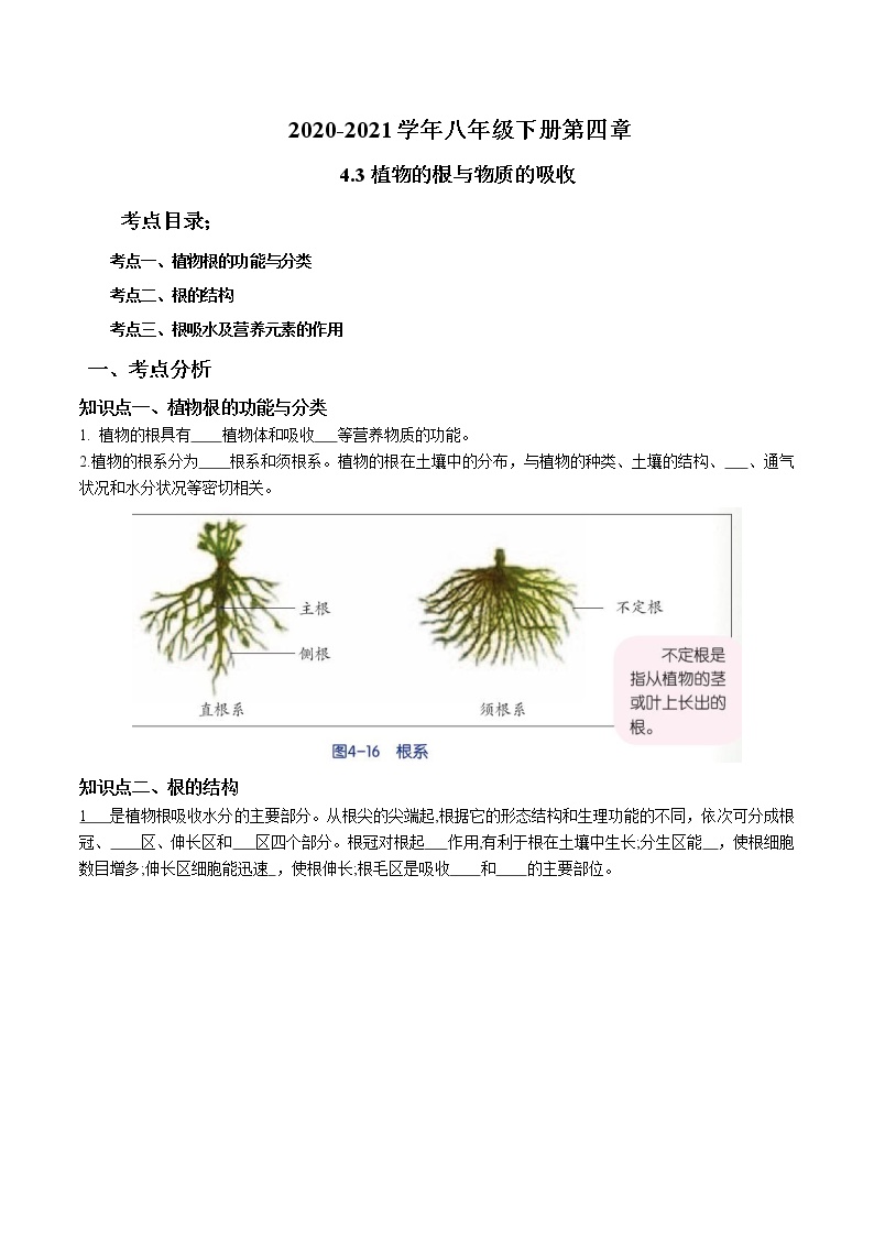 2020-2021学年浙教版八年级科学下册期末复习讲义（机构）4.3植物的根与物质的吸收 （考点分析+热点题型详解+巩固提升）