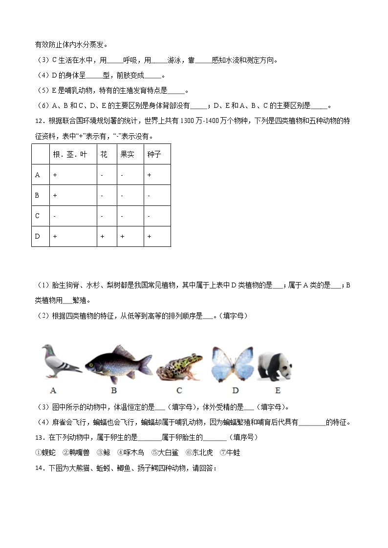 华师大科学七年级上册 2.1动物的主要类群-同步习题（原卷版）03