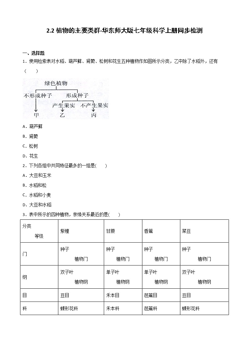 华师大科学七年级上册 2.2植物的主要类群-同步习题（原卷版）01