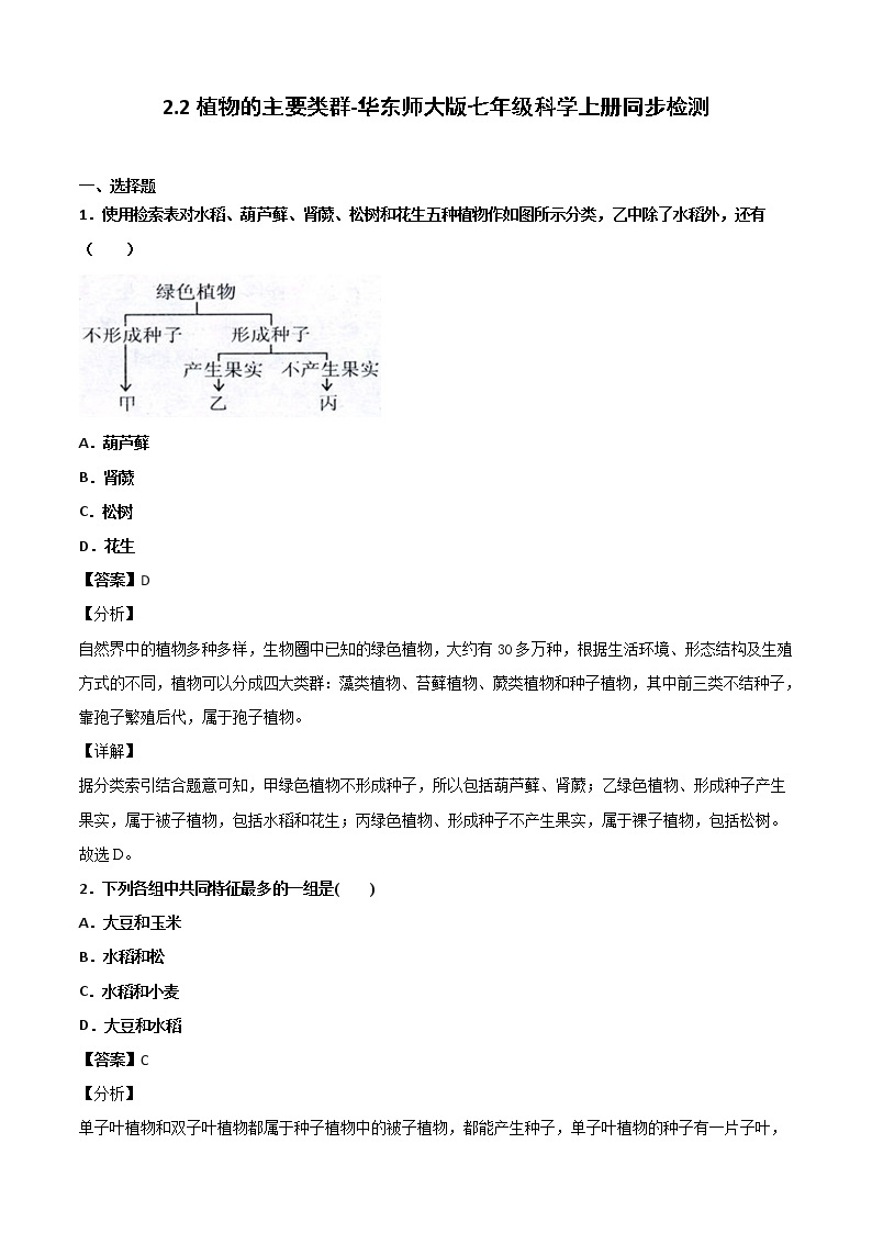 华师大科学七年级上册 2.2植物的主要类群-同步习题（解析版）01