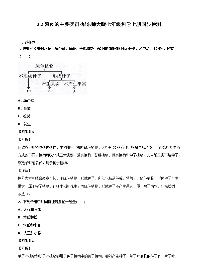 华师大科学七年级上册 2.2植物的主要类群-同步习题(解析版)01