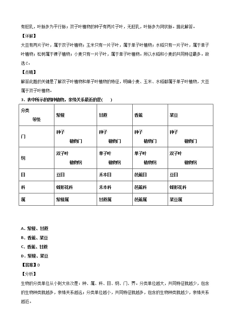 华师大科学七年级上册 2.2植物的主要类群-同步习题(解析版)02