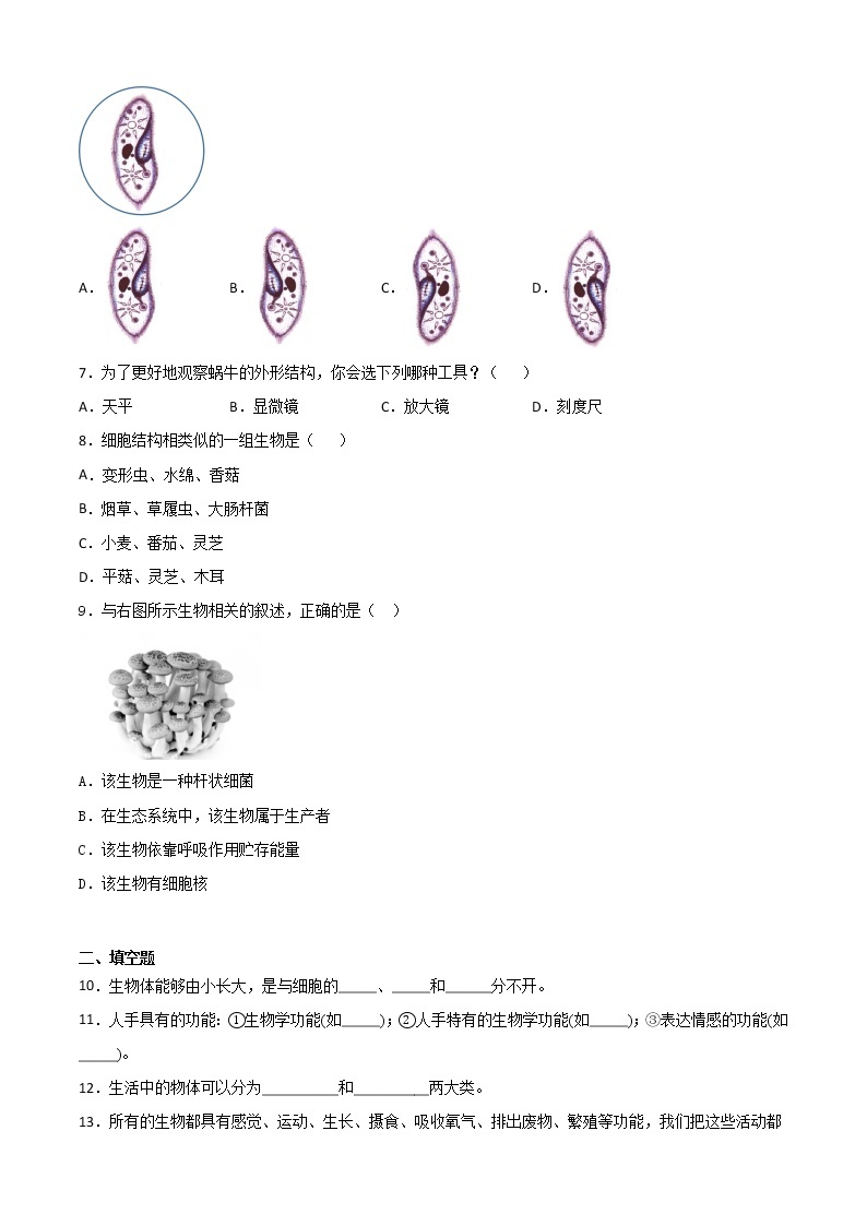 华师大科学七年级上册 4.1生物体-同步习题（原卷版）02