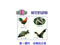 初中科学浙教版七年级上册第4节 常见的动物课前预习课件ppt